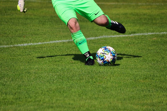 斯以其出色 斯以其出色