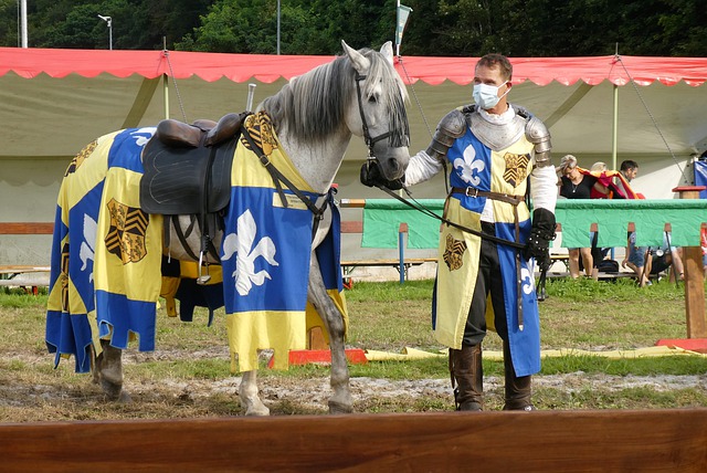 在去年季后 在去年季后