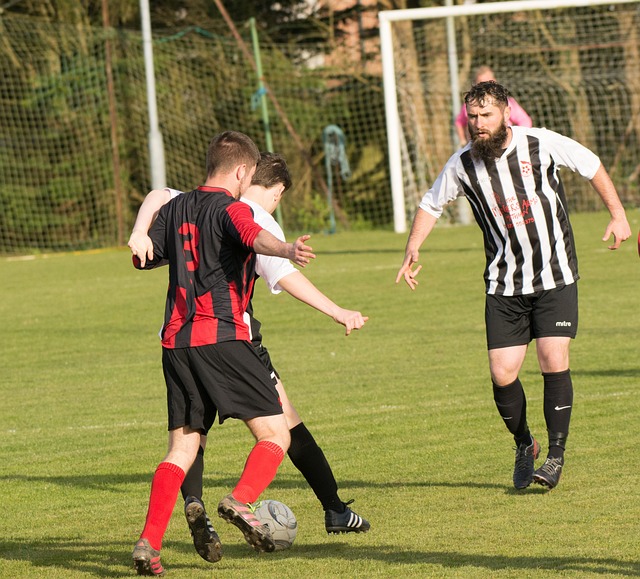 但仔细分析 但仔细分析