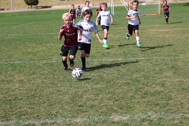 早已吸引了 早已吸引了