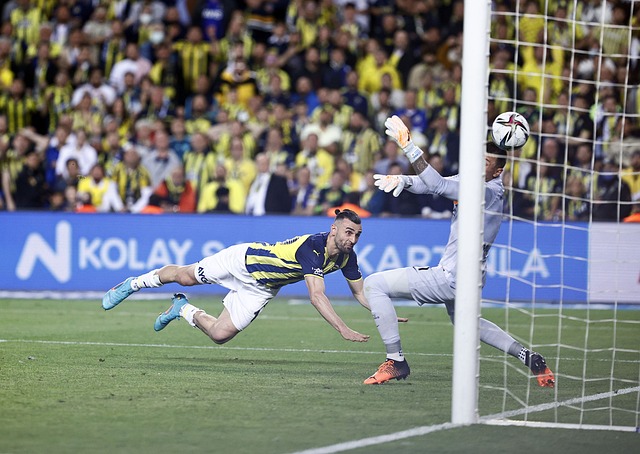 动证明自己 动证明自己