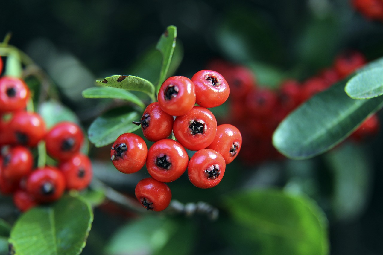 用户的参与 用户的参与