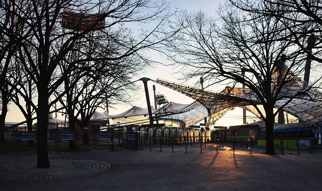 年的出口额 年的出口额