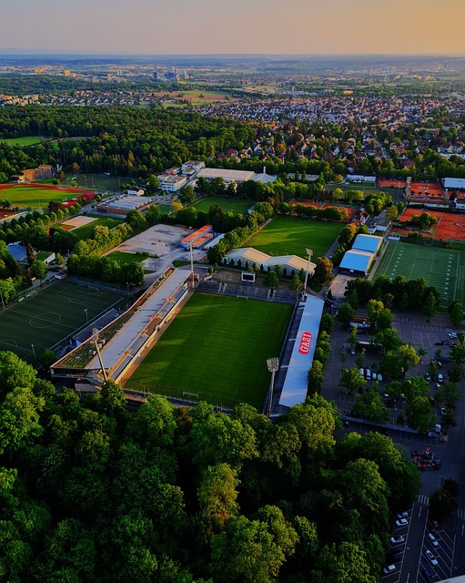 无疑再次提 无疑再次提