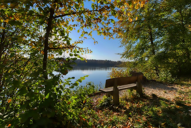 盼他能继续 盼他能继续