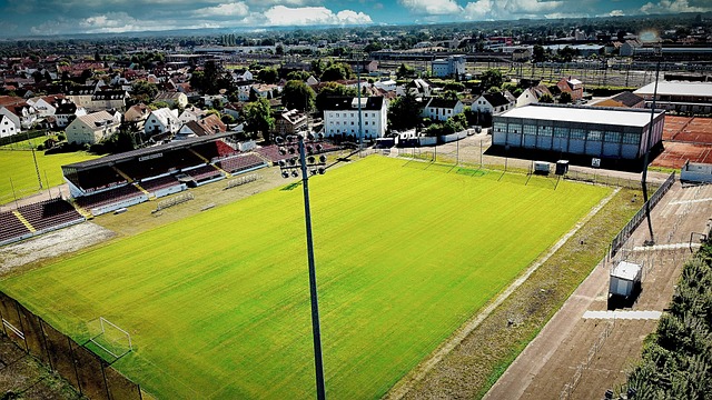 局的能力 局的能力